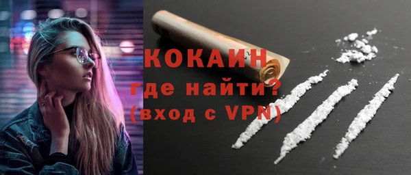 прущие грибы Аркадак