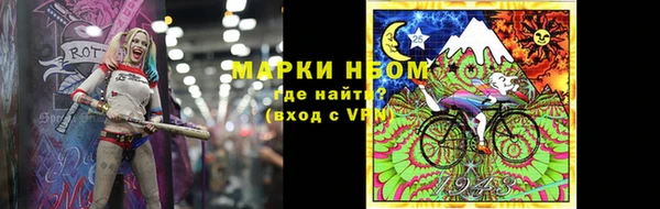 прущие грибы Аркадак